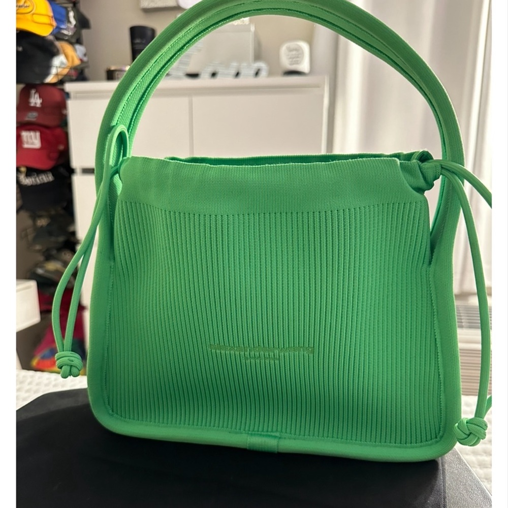 Alexander Wang RYAN SMALL BAG 💚